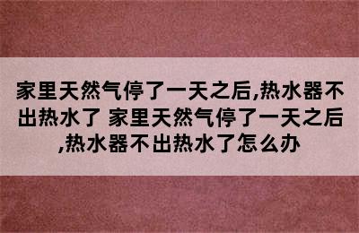 家里天然气停了一天之后,热水器不出热水了 家里天然气停了一天之后,热水器不出热水了怎么办